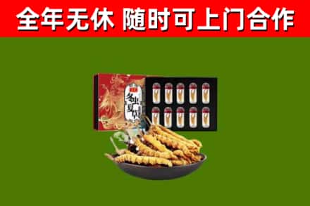 齐齐哈尔回收冬虫夏草价格