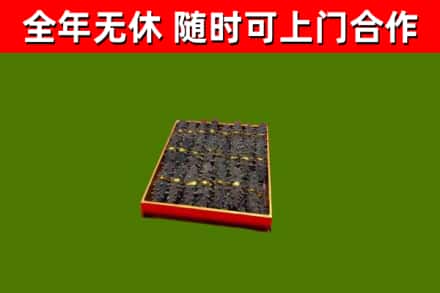 齐齐哈尔回收海参